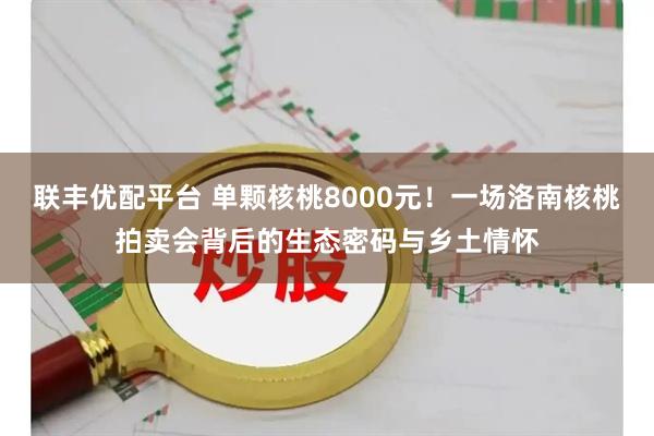 联丰优配平台 单颗核桃8000元！一场洛南核桃拍卖会背后的生态密码与乡土情怀